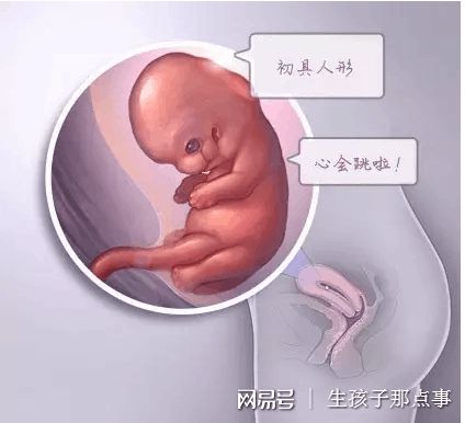 苏主任医师